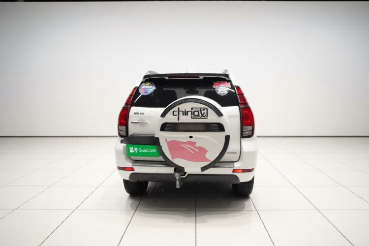 Used Haval H9 2020 2.0T Gasoline 4x4 Luxury 7-Seater Rear