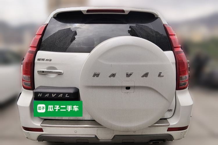 Used Haval H9 2020 2.0T Gasoline 4x4 Luxury 7-Seater Rear