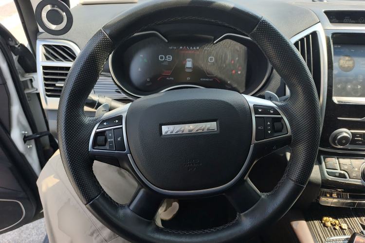 Used Haval H9 2020 2.0T Gasoline 4WD Premium Edition 5 Seats Steering Wheel