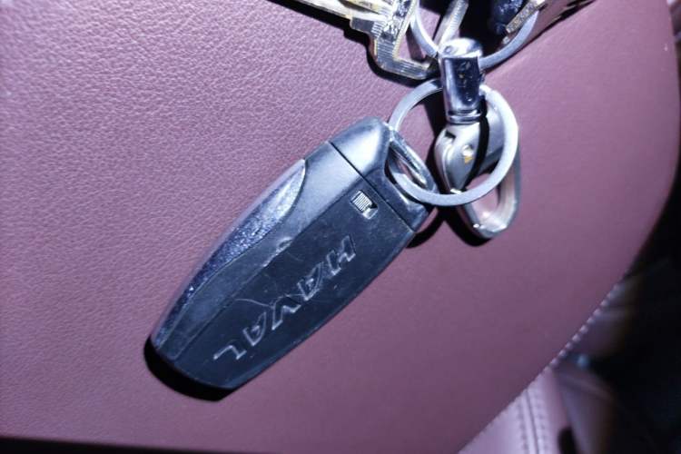 Used Haval H9 2020 2.0T Gasoline 4x4 Prestige 7-Seater Vehicle Key