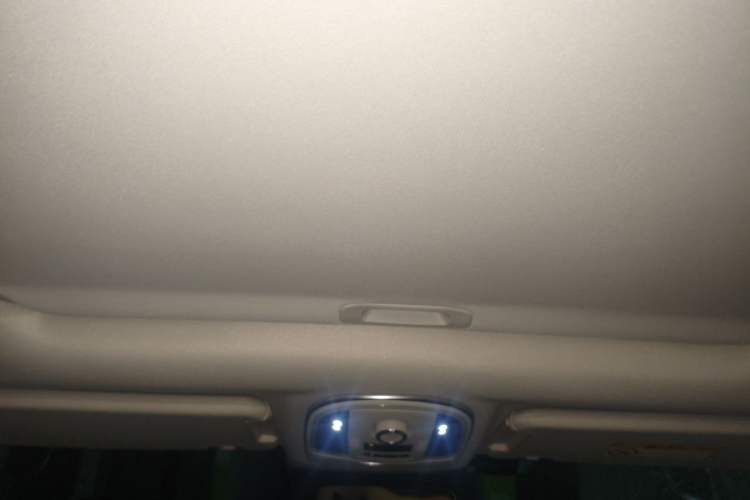 Used Haval H9 2022 2.0T Gasoline 4x4 Luxury 7-Seater Headliner