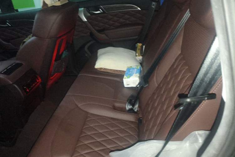 Used Haval H9 2022 2.0T Gasoline 4x4 Luxury 7-Seater Left Rear Seat