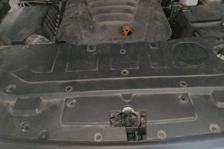Used Haval H9 2022 2.0T Gasoline 4x4 Premium 5-Seater Engine Bay