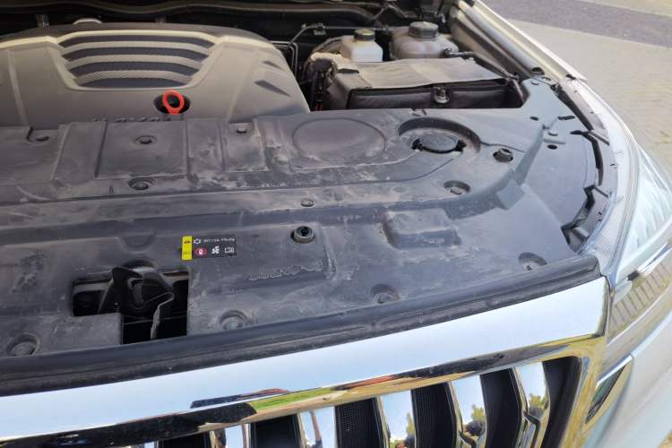 Used Haval H9 2022 2.0T Gasoline 4x4 Elite Model 5 Seats Engine Bay Left