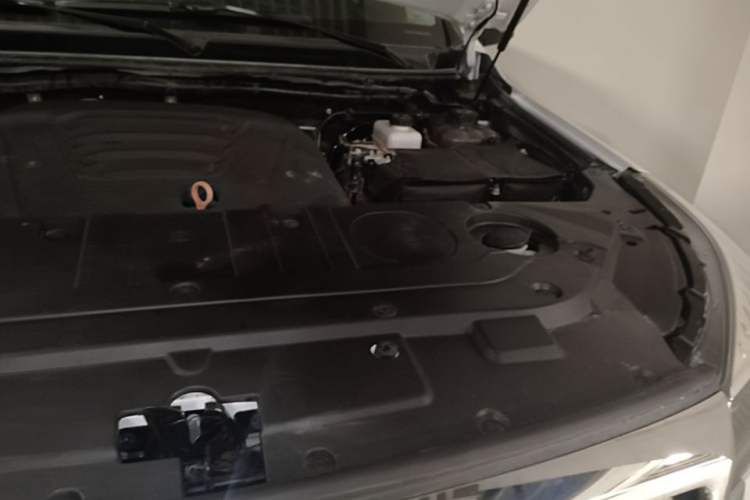 Used Haval H9 2022 2.0T Gasoline 4x4 Elite Model 5 Seats Engine Bay Left