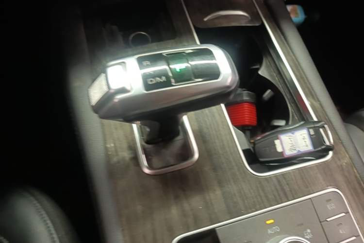 Used Haval H9 2022 2.0T Gasoline 4x4 Elite Model 5 Seats Gear Lever