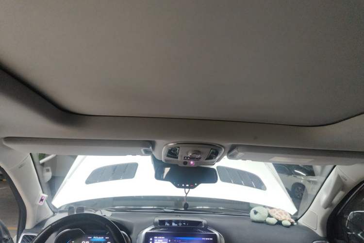 Used Haval H9 2022 2.0T Gasoline 4x4 Premium 5-Seater Headliner