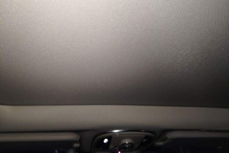 Used Haval H9 2022 2.0T Gasoline 4x4 Premium 5-Seater Headliner