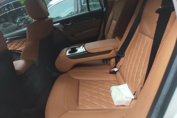 Used Haval H9 2022 2.0T Gasoline 4x4 Smart Enjoyment Version 5 Seats Left Rear Seat