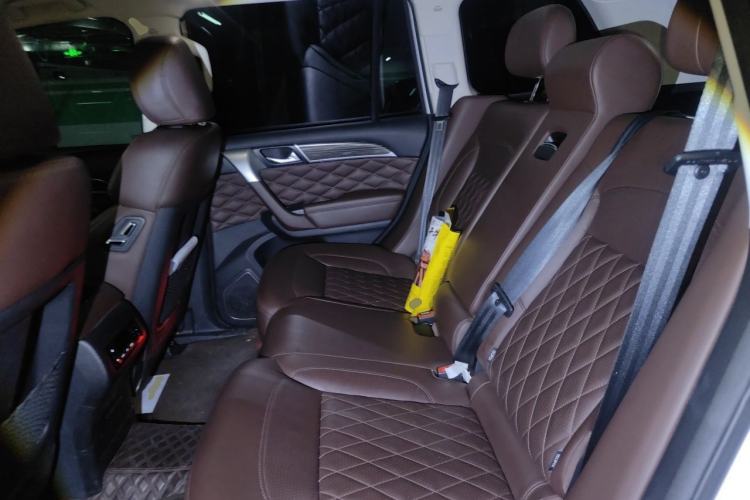 Used Haval H9 2022 2.0T Gasoline All-Wheel-Drive Versatile 5-Seater Left Rear Seat