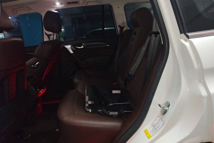 Used Haval H9 2022 2.0T Gasoline 4x4 Premium 5-Seater Left Rear Seat