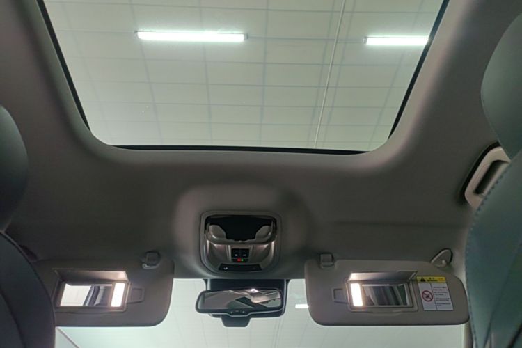 Used Haval H9 2024 2.0T Gasoline All-Wheel-Drive Extreme Edition Headliner