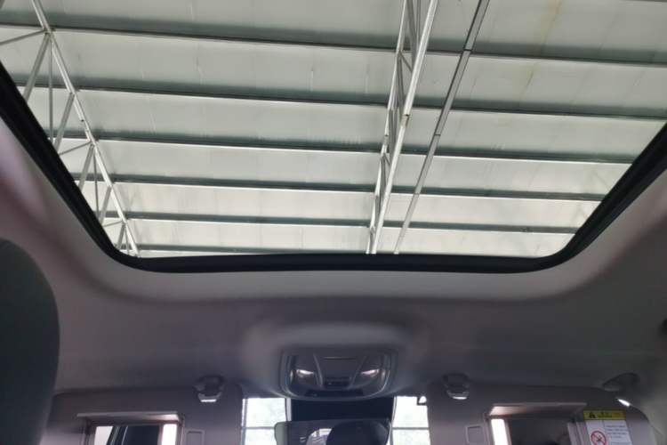 Used Haval H9 2024 2.0T Gasoline 4x4 Territory Edition Headliner