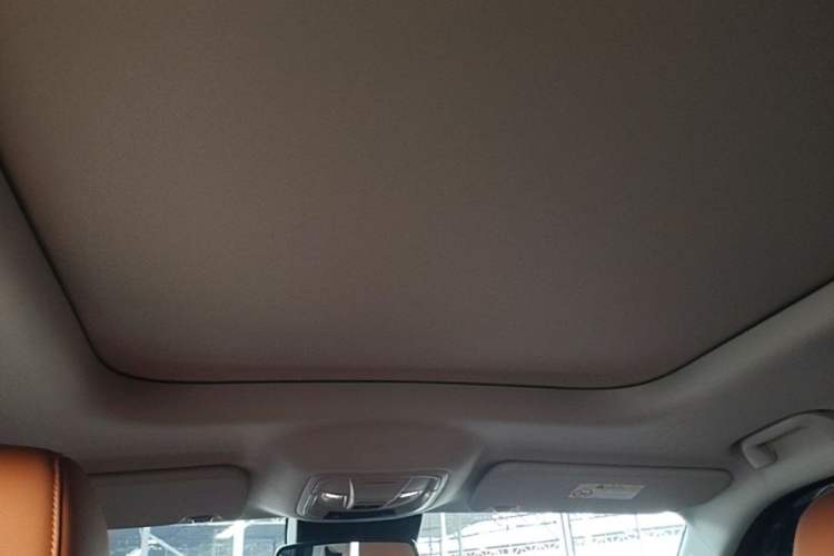 Used Haval H9 2024 2.0T Gasoline All-Wheel-Drive Extreme Edition Headliner