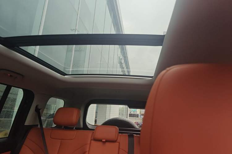 Used Haval H9 2024 2.0T Gasoline All-Wheel-Drive Extreme Edition Headliner