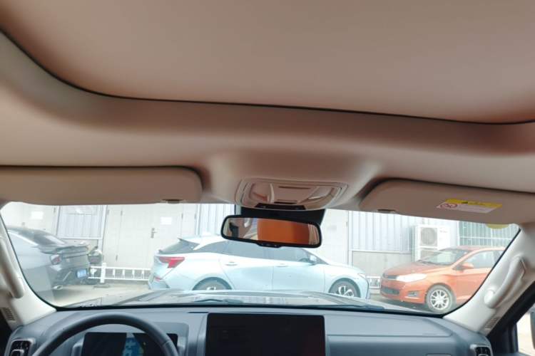 Used Haval H9 2024 2.0T Gasoline All-Wheel-Drive Extreme Edition Headliner