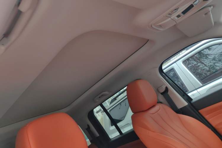 Used Haval H9 2024 2.0T Gasoline All-Wheel-Drive Extreme Edition Headliner