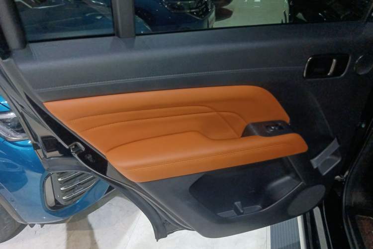 Used Haval H9 2024 2.0T Gasoline All-Wheel-Drive Extreme Edition Left Rear Door Interior