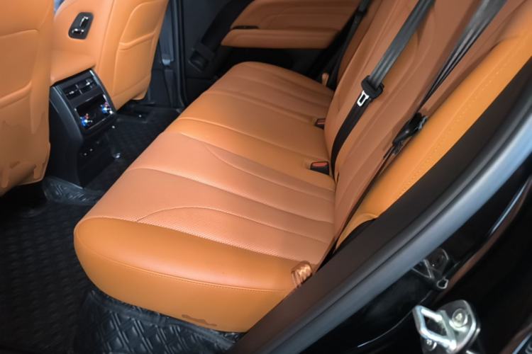 Used Haval H9 2024 2.0T Gasoline All-Wheel-Drive Extreme Edition Left Rear Seat