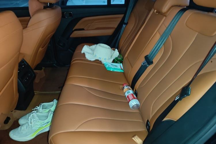 Used Haval H9 2024 2.0T Gasoline 4x4 Territory Edition Left Rear Seat