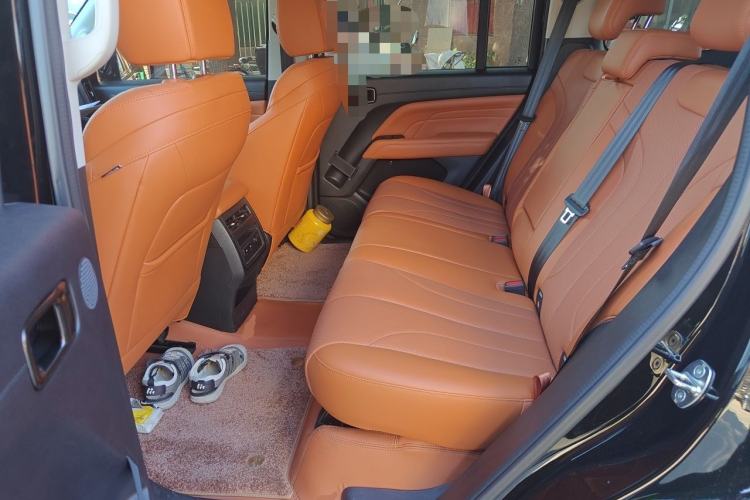 Used Haval H9 2024 2.0T Gasoline 4x4 Territory Edition Left Rear Seat