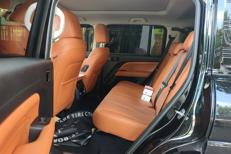 Used Haval H9 2024 2.0T Gasoline All-Wheel-Drive Extreme Edition Left Rear Seat