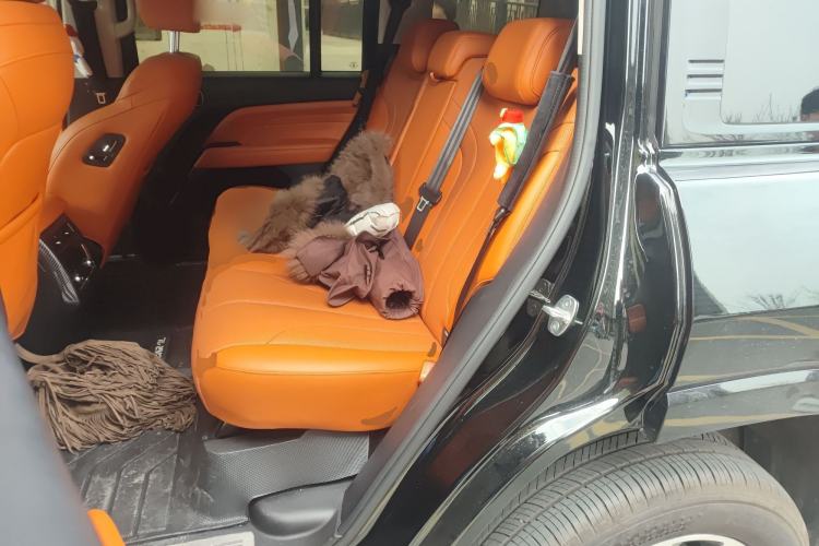 Used Haval H9 2024 2.0T Gasoline All-Wheel-Drive Extreme Edition Left Rear Seat
