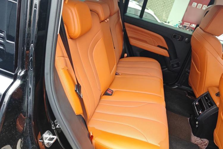 Used Haval H9 2024 2.0T Gasoline All-Wheel-Drive Extreme Edition Left Rear Seat
