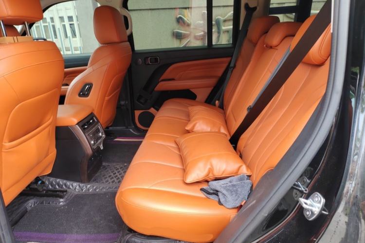 Used Haval H9 2024 2.0T Gasoline All-Wheel-Drive Extreme Edition Left Rear Seat