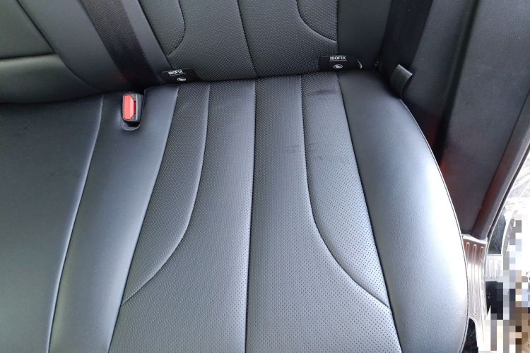 Used Haval H9 2024 2.0T Gasoline Four-Wheel Drive Explore Edition Left Rear Seat