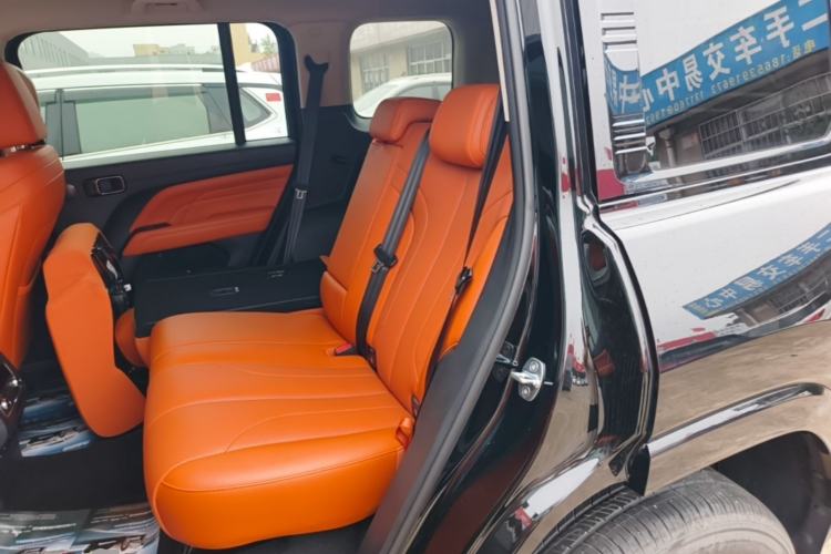 Used Haval H9 2024 2.0T Gasoline All-Wheel-Drive Extreme Edition Left Rear Seat