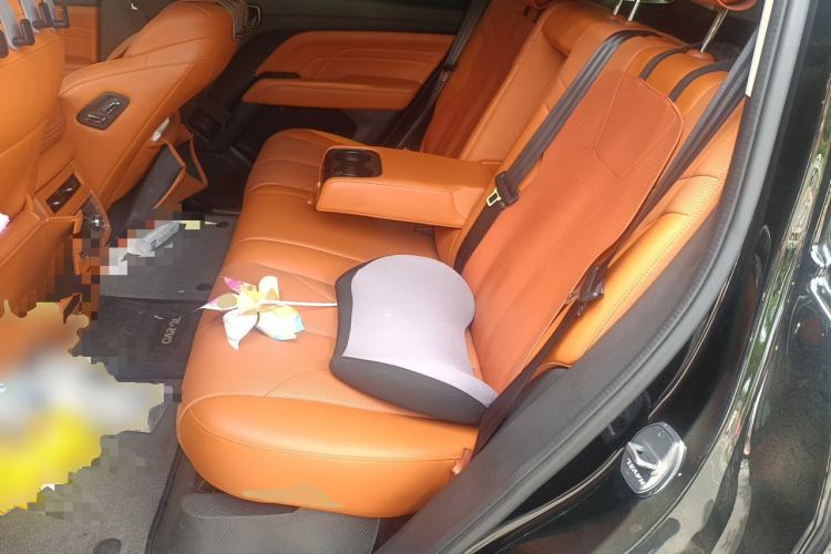 Used Haval H9 2024 2.0T Gasoline All-Wheel-Drive Extreme Edition Left Rear Seat