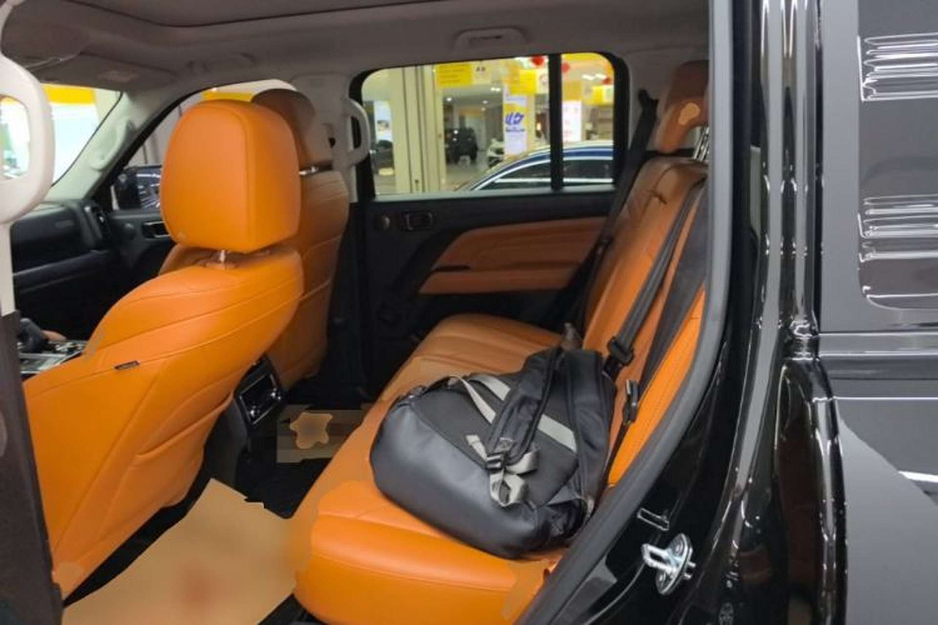 Used Haval H9 2024 2.0T Gasoline All-Wheel-Drive Extreme Edition Left Rear Seat