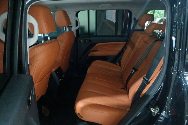 Used Haval H9 2024 2.0T Gasoline All-Wheel-Drive Extreme Edition Left Rear Seat