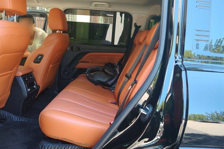 Used Haval H9 2024 2.0T Gasoline All-Wheel-Drive Extreme Edition Left Rear Seat