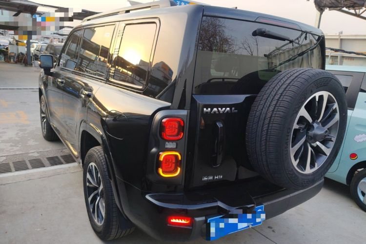 Used Haval H9 2024 2.4T Diesel 4x4 Extreme Edition Rear Left 45 Deg