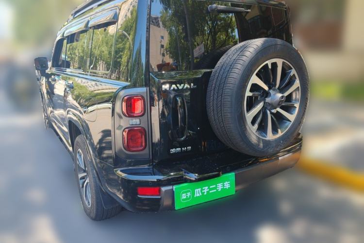 Used Haval H9 2024 2.0T Gasoline All-Wheel-Drive Extreme Edition Rear Left 45 Deg