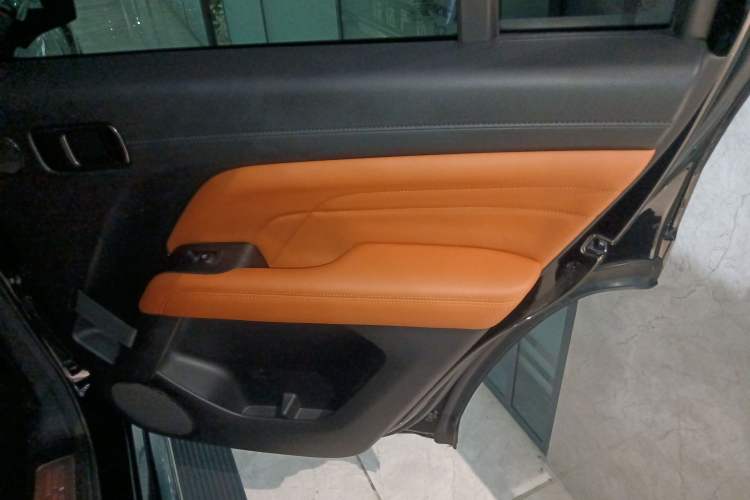 Used Haval H9 2024 2.0T Gasoline All-Wheel-Drive Extreme Edition Right Rear Door Interior