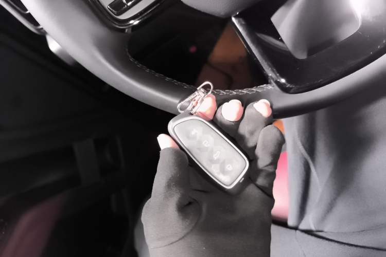 Used Haval H9 2024 2.0T Gasoline All-Wheel-Drive Extreme Edition Vehicle Key