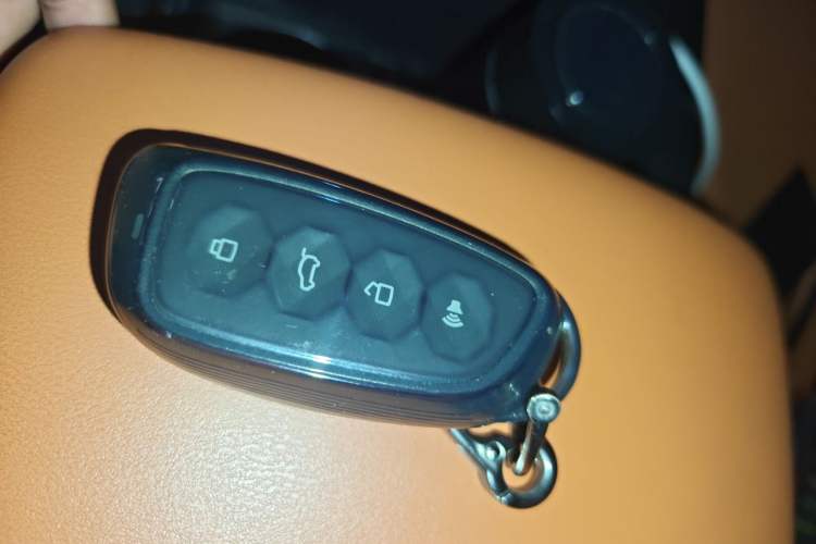 Used Haval H9 2024 2.0T Gasoline 4x4 Territory Edition Vehicle Key