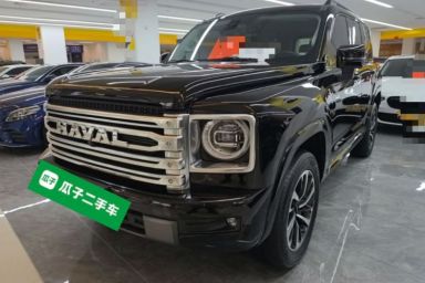 Used Haval H9 2024 2.0T Gasoline All-Wheel-Drive Extreme Edition
