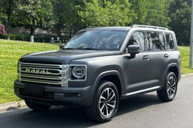 Used Haval H9 2024 2.0T Gasoline All-Wheel-Drive Extreme Edition