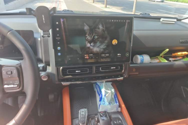Used Haval H9 2024 2.0T Gasoline 4x4 Territory Edition Audio And AC Panel
