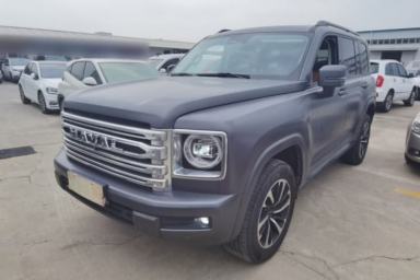Used Haval H9 2024 2.0T Gasoline All-Wheel-Drive Extreme Edition