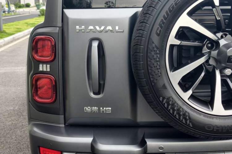 Used Haval H9 2024 2.0T Gasoline All-Wheel-Drive Extreme Edition Exterior 10