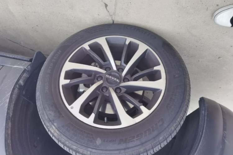 Used Haval H9 2024 2.0T Gasoline All-Wheel-Drive Extreme Edition Exterior 4