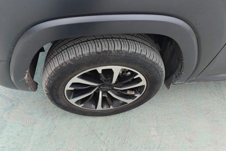 Used Haval H9 2024 2.0T Gasoline All-Wheel-Drive Extreme Edition Exterior 4