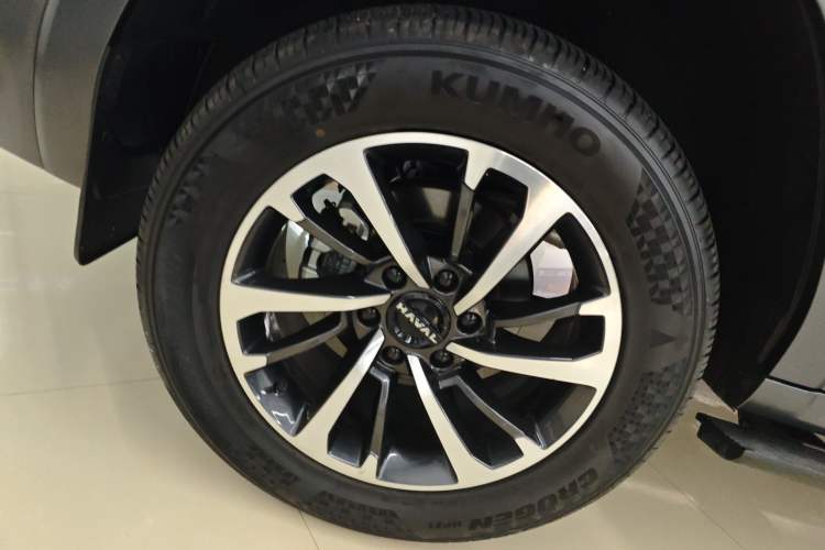 Used Haval H9 2024 2.0T Gasoline All-Wheel-Drive Extreme Edition Exterior 4