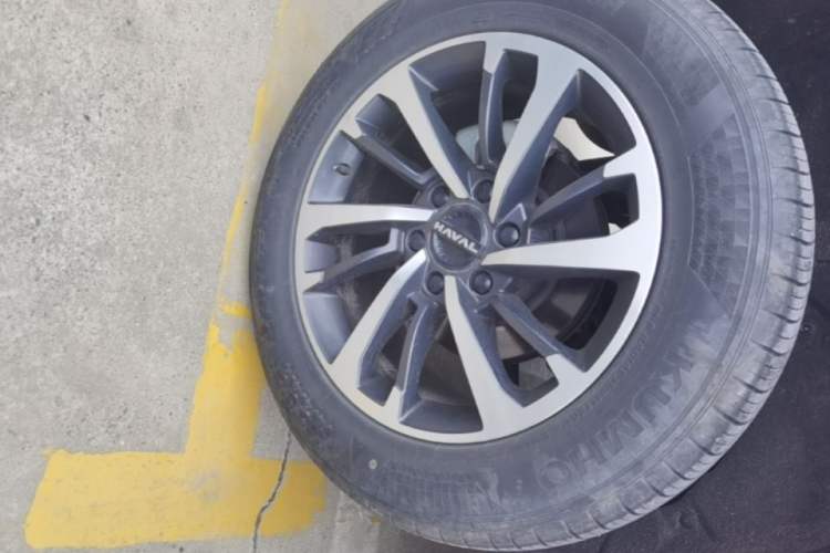 Used Haval H9 2024 2.0T Gasoline All-Wheel-Drive Extreme Edition Exterior 5