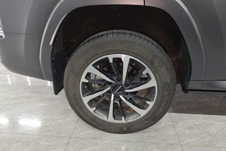 Used Haval H9 2024 2.0T Gasoline All-Wheel-Drive Extreme Edition Exterior 5